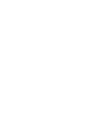 Rapport_report_hvid-streg hvid rapport